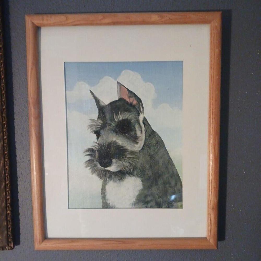 Vintage Schnauzer Dog Painting Art 15x12 Framed Matted